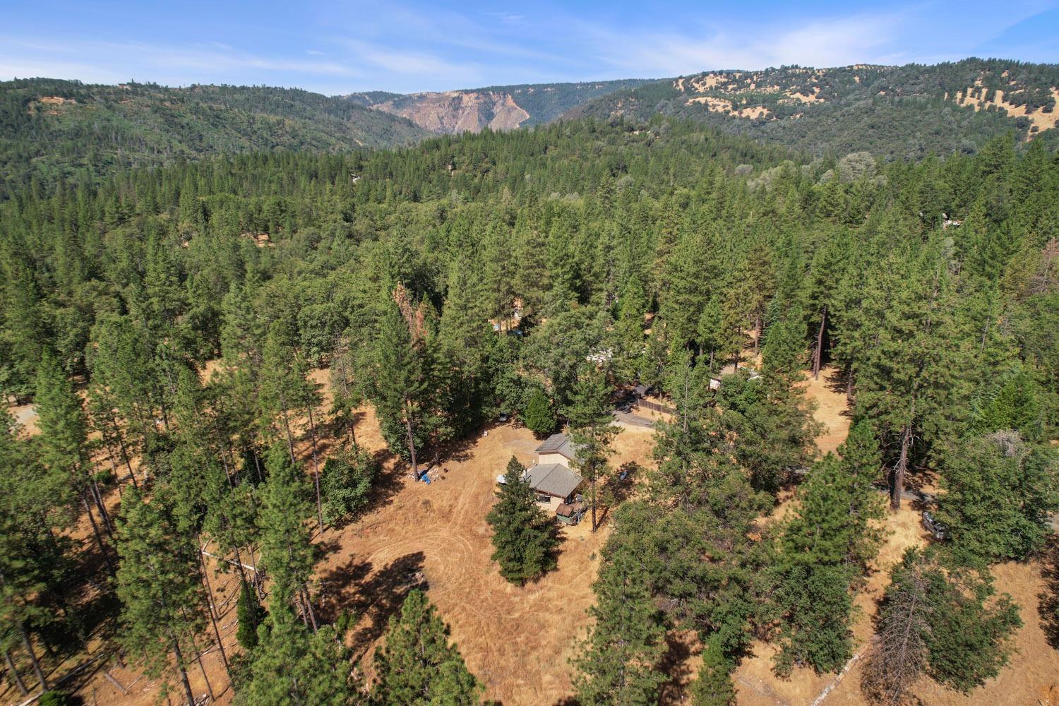 402 Rabbit's Foot Road West Point, CA 95255 - Photo 49 of 65