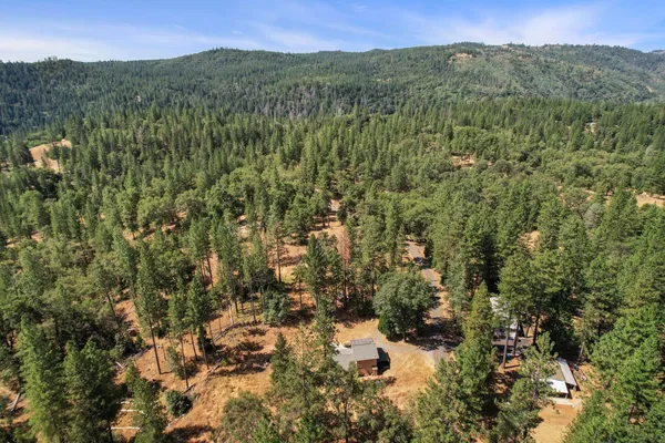 a view of a town with large trees