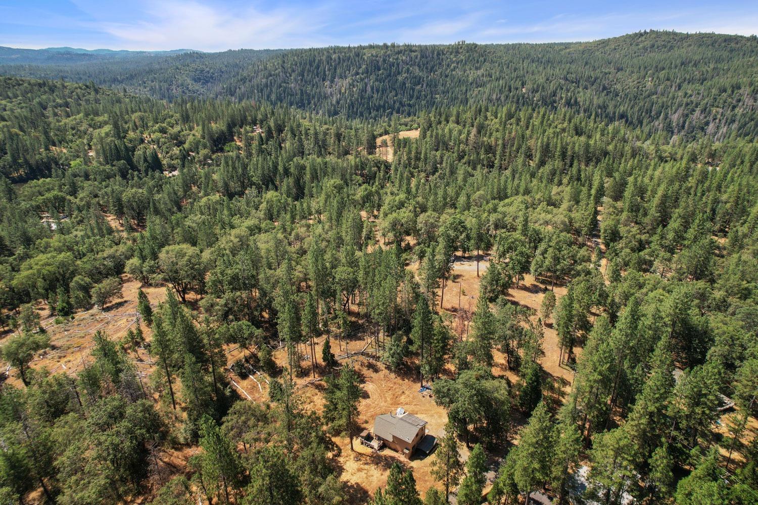 402 Rabbit's Foot Road West Point, CA 95255 - Photo 51 of 65 a view of a city with lush green forest