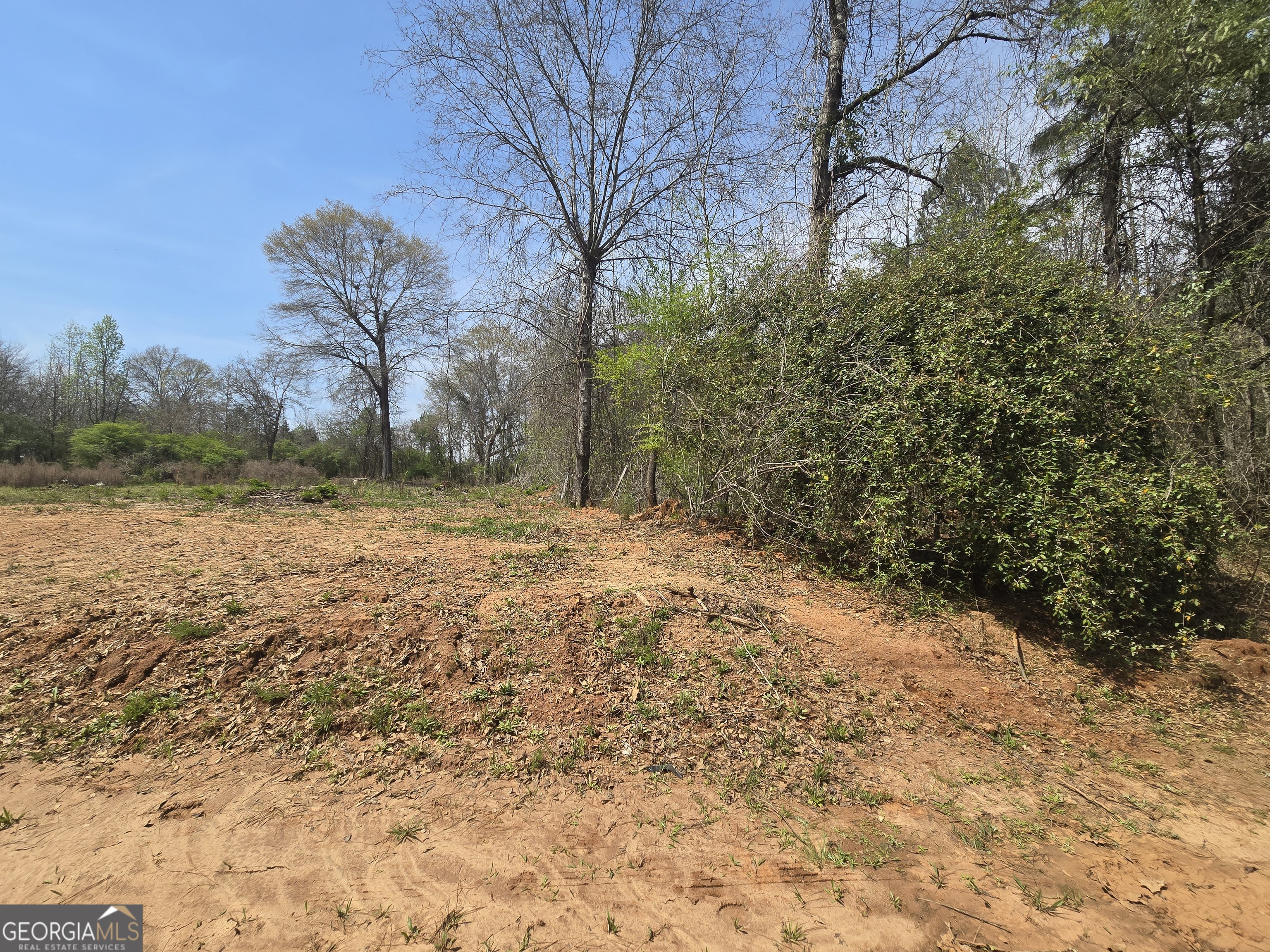 3588 West Ellis Road Griffin, GA 30223 - Photo 5 of 9