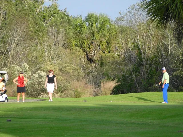 a view of field with grass and trees