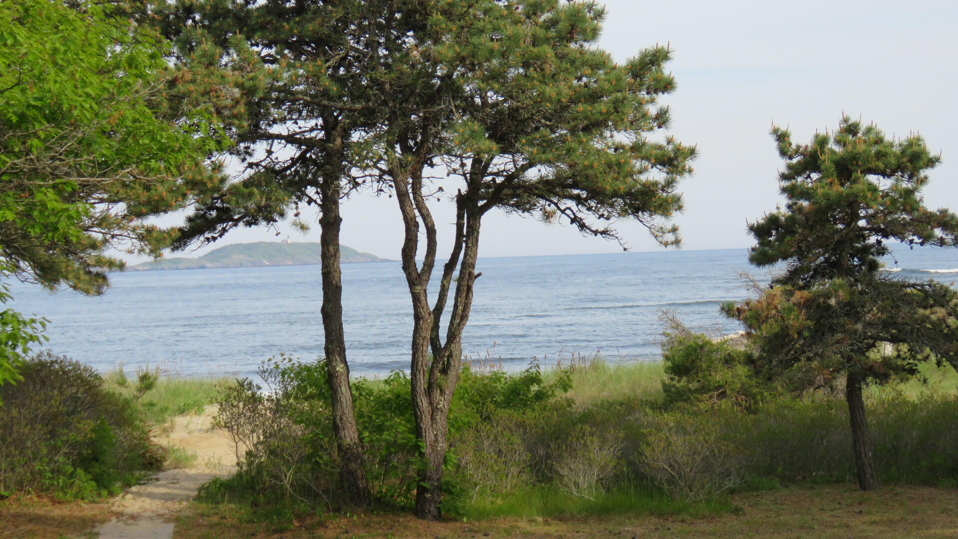 823 Popham Road Phippsburg, ME 04562 - Photo 11 of 119 IMG_4554