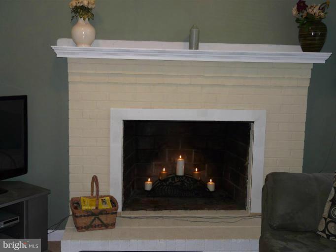 290 McDonald Road Winchester, VA 22602 - Photo 9 of 28 Wood burning fireplace in formal living room...