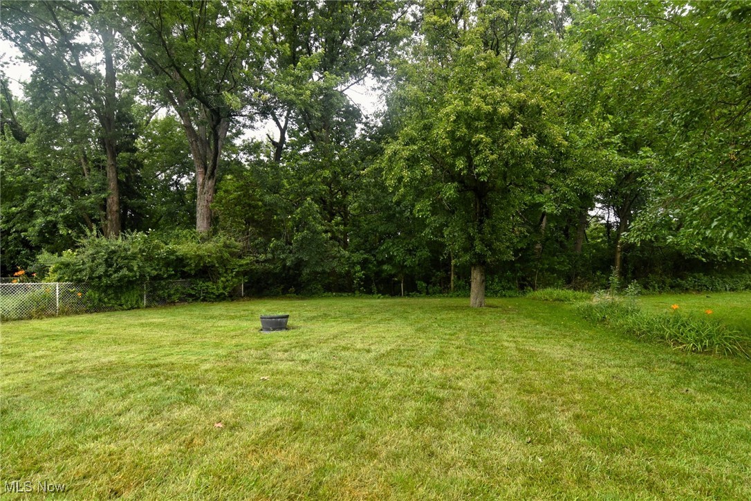 9421 David Road Cleveland, OH 44125 - Photo 36 of 36 View of yard