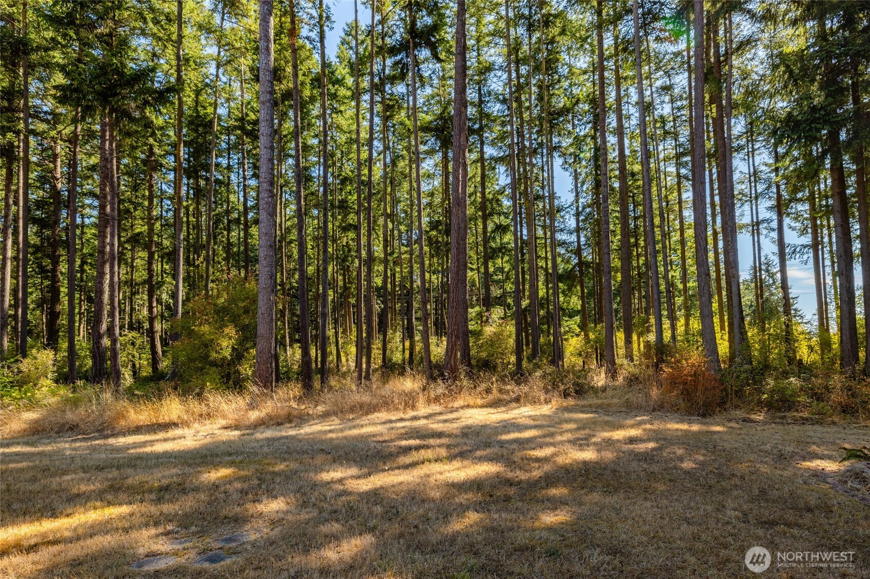 3167 Hunt Road Oak Harbor, WA 98277 - Photo 27 of 40 a view of outdoor space with trees