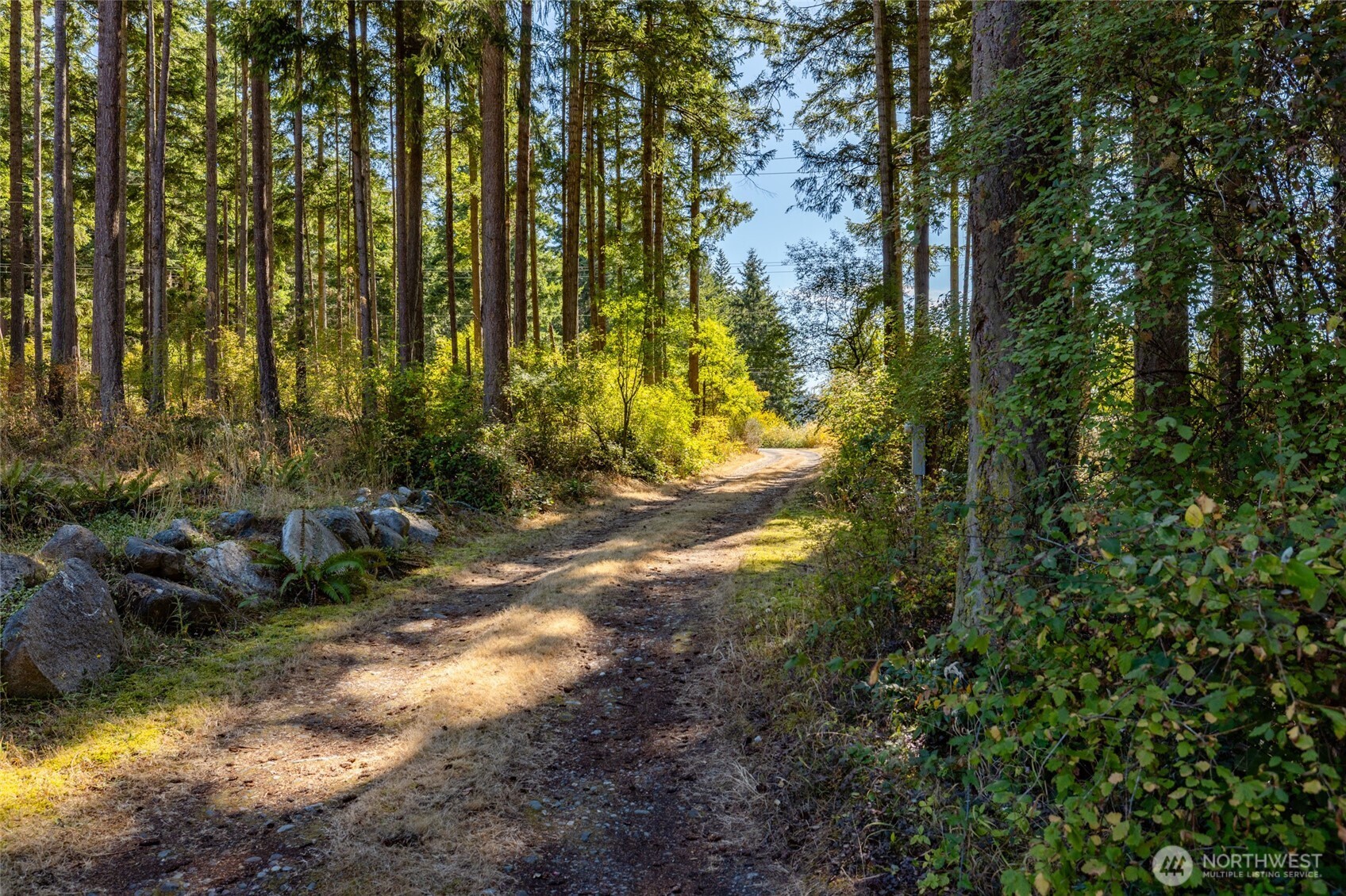 3167 Hunt Road Oak Harbor, WA 98277 - Photo 3 of 40 a view of yard