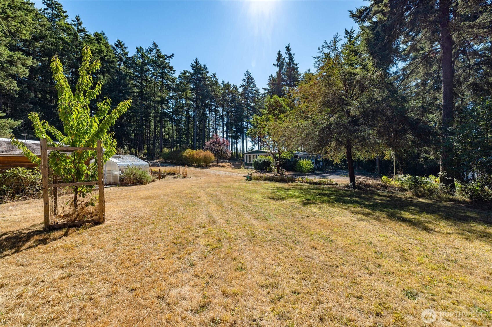 3167 Hunt Road Oak Harbor, WA 98277 - Photo 33 of 40 a view of outdoor space with trees