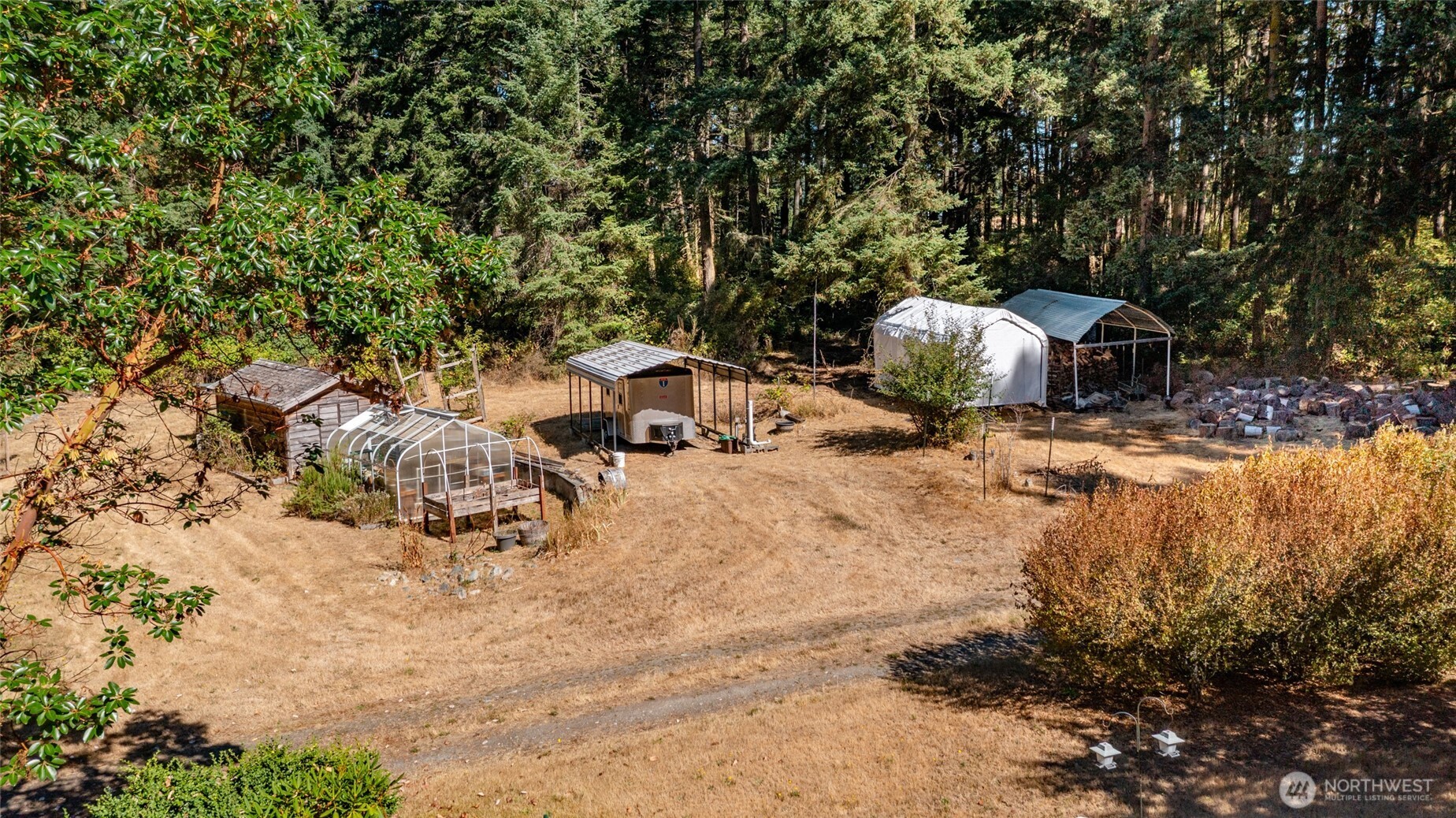 3167 Hunt Road Oak Harbor, WA 98277 - Photo 34 of 40 a view of a yard with plants and trees