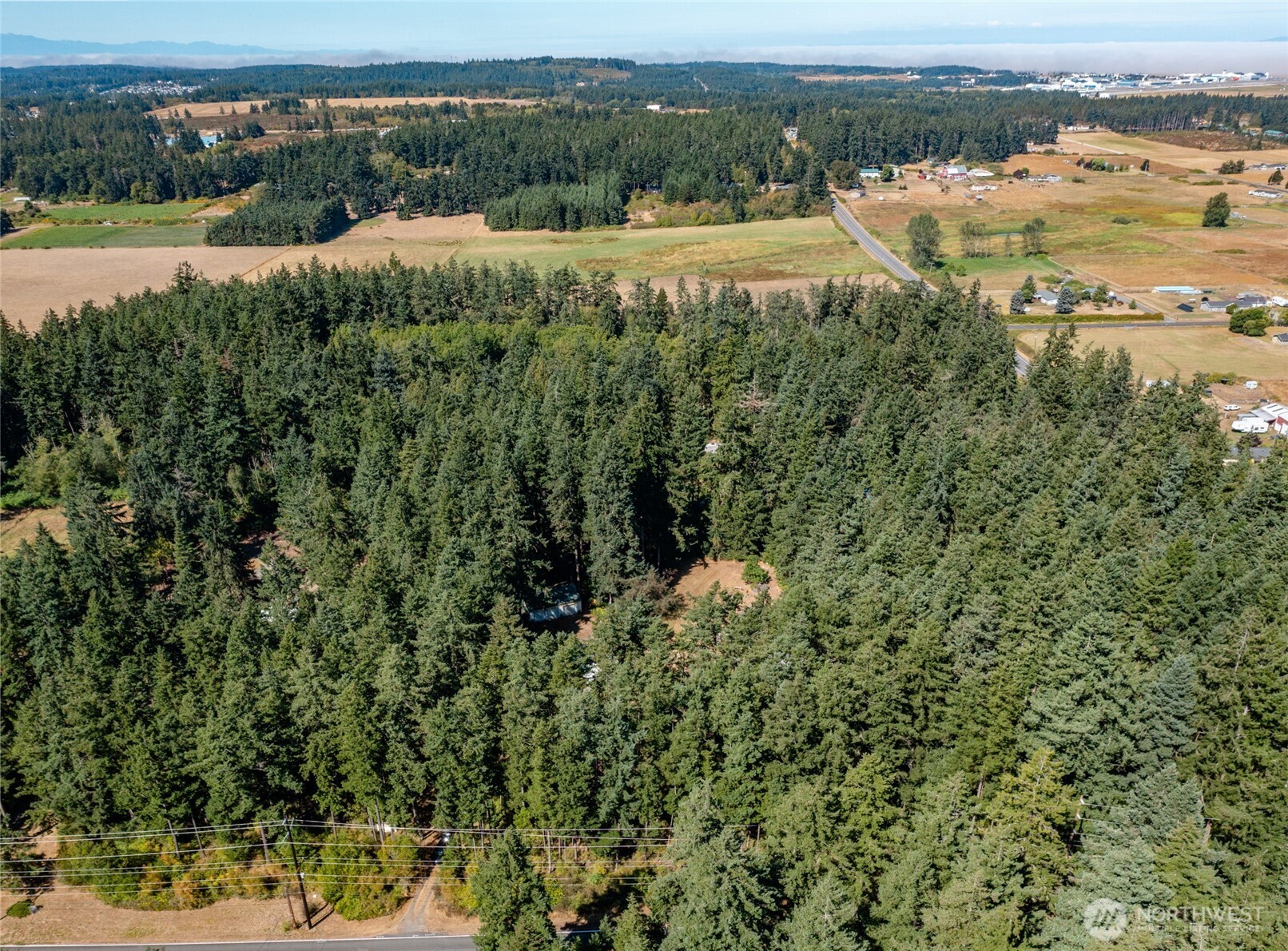 3167 Hunt Road Oak Harbor, WA 98277 - Photo 40 of 40 an aerial view of a houses with outdoor space and trees all around