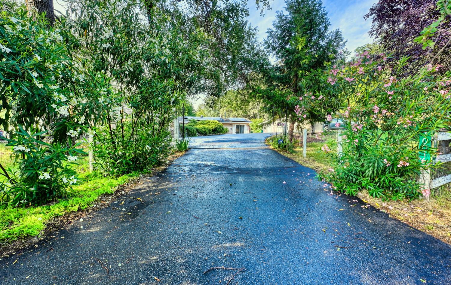 10016 East Lime Kiln Road Grass Valley, CA 95949 - Photo 4 of 32