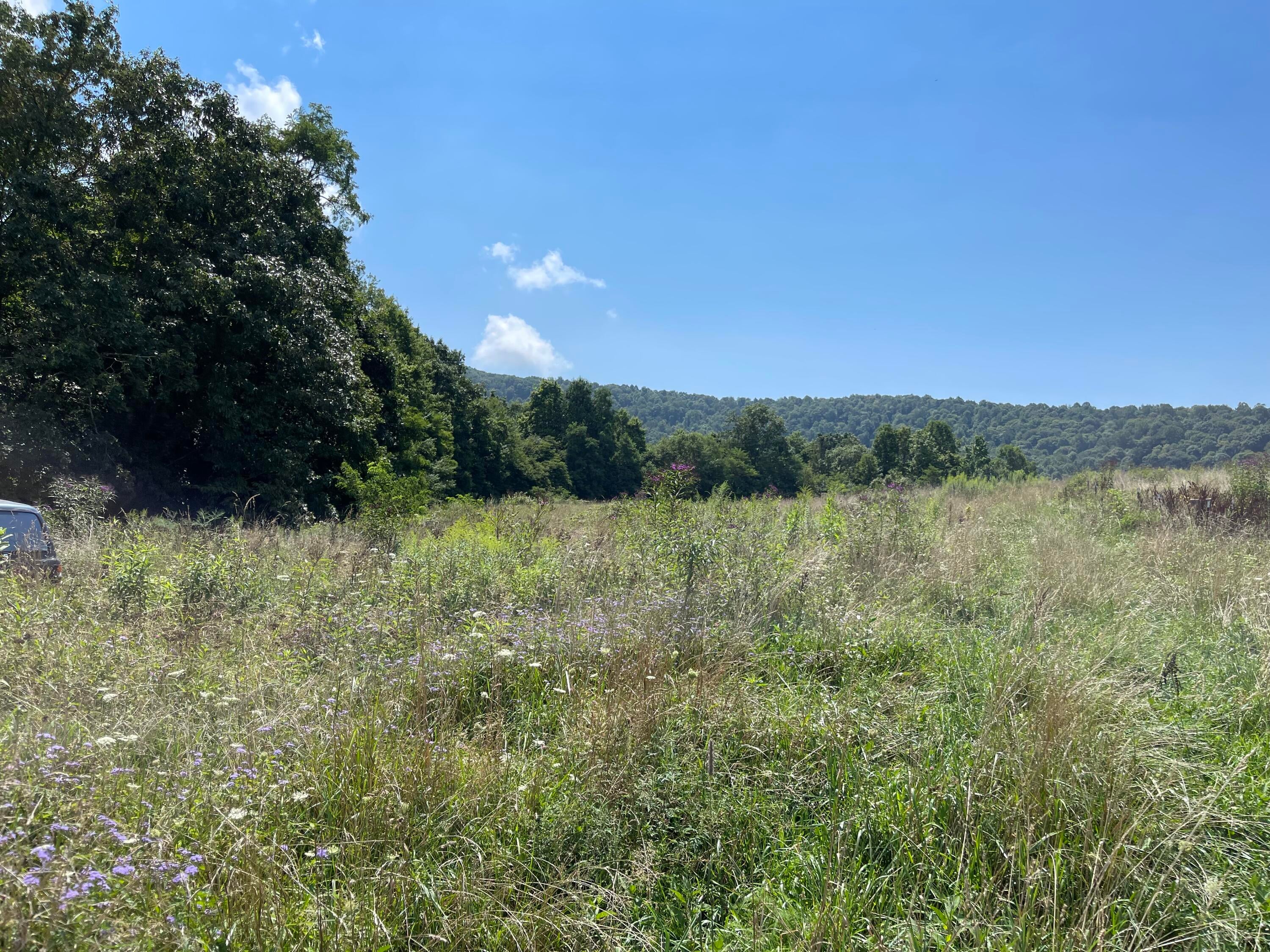 Ward Bench Road Sandstone, WV 25985 - Photo 46 of 92 Gallery Image 46