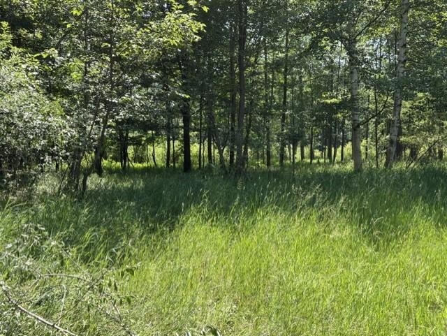 61 Rolling Hills Road West Branch, MI 48661 - Photo 9 of 11 1947956-71cfd832-edb0-4009-a5f8-1207988a84e9.JPG