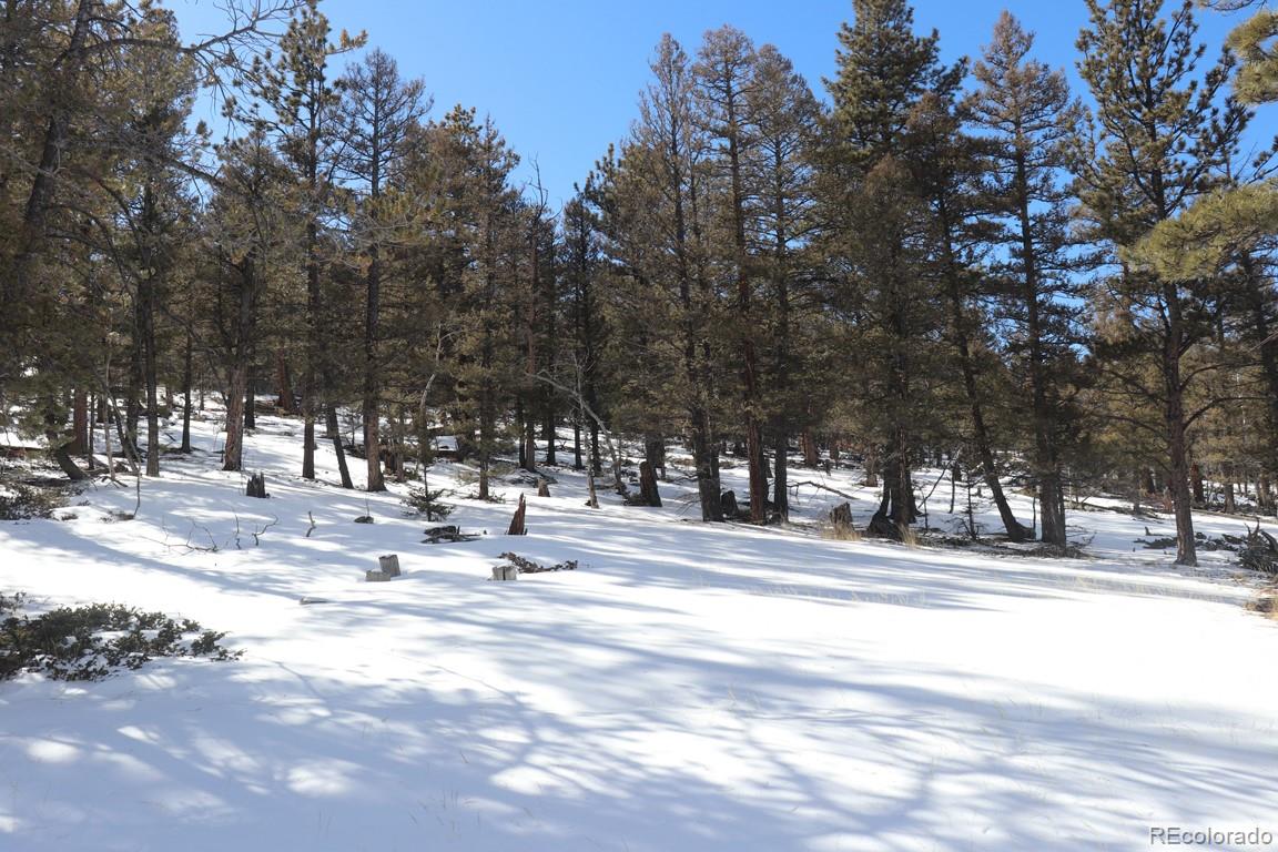 2120 Bellows Road Hartsel, CO 80449 - Photo 1 of 17 a view of city with tall trees