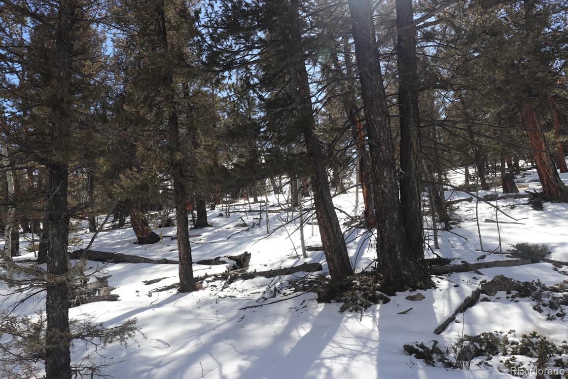2120 Bellows Road Hartsel, CO 80449 - Photo 12 of 17