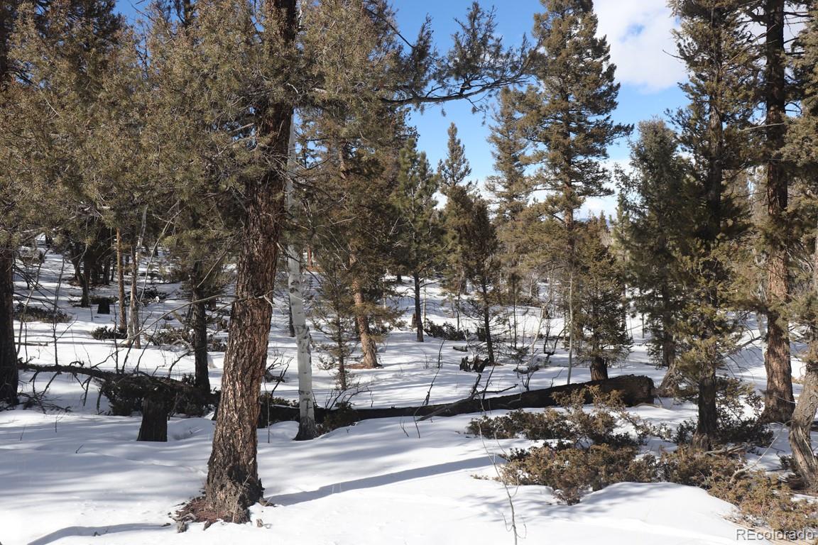 2120 Bellows Road Hartsel, CO 80449 - Photo 13 of 17