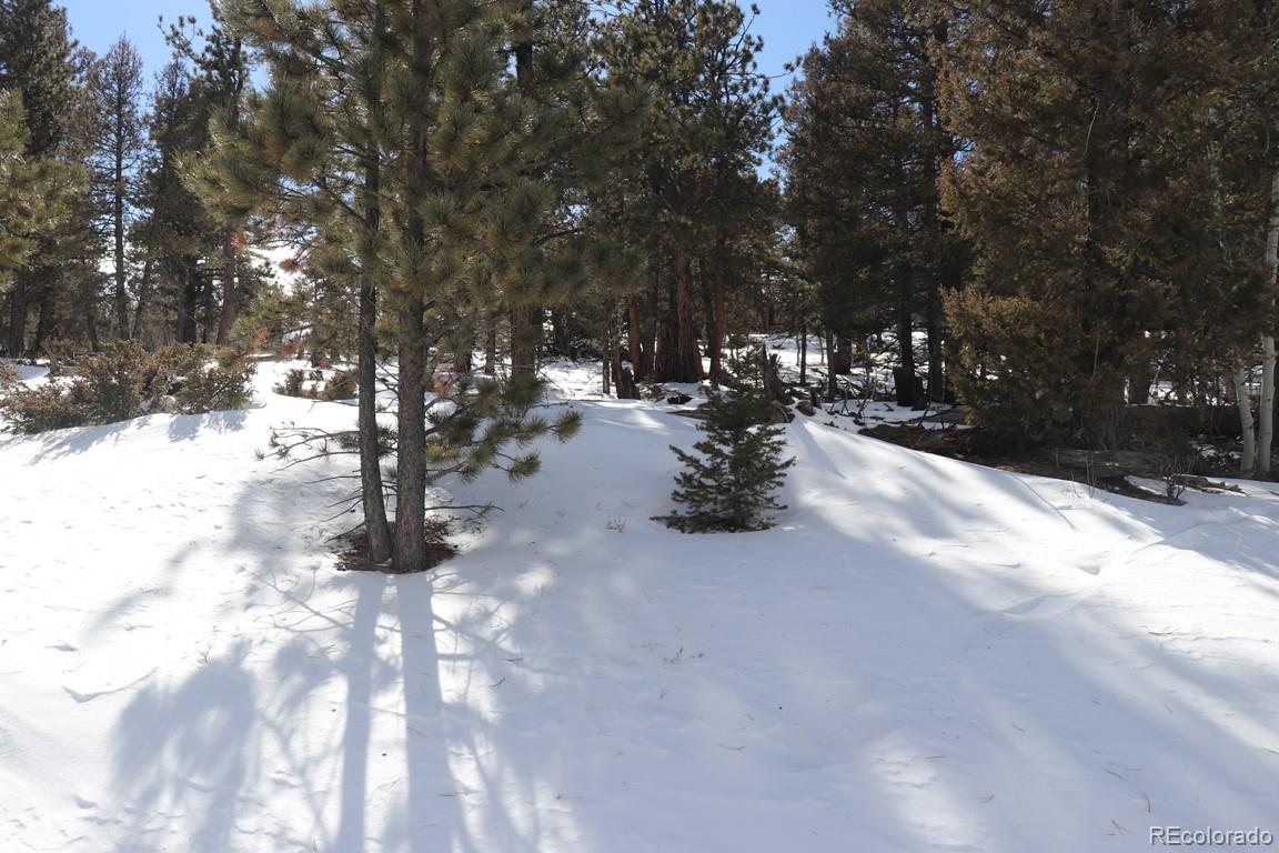 2120 Bellows Road Hartsel, CO 80449 - Photo 15 of 17 a view of a snow in a yard with trees