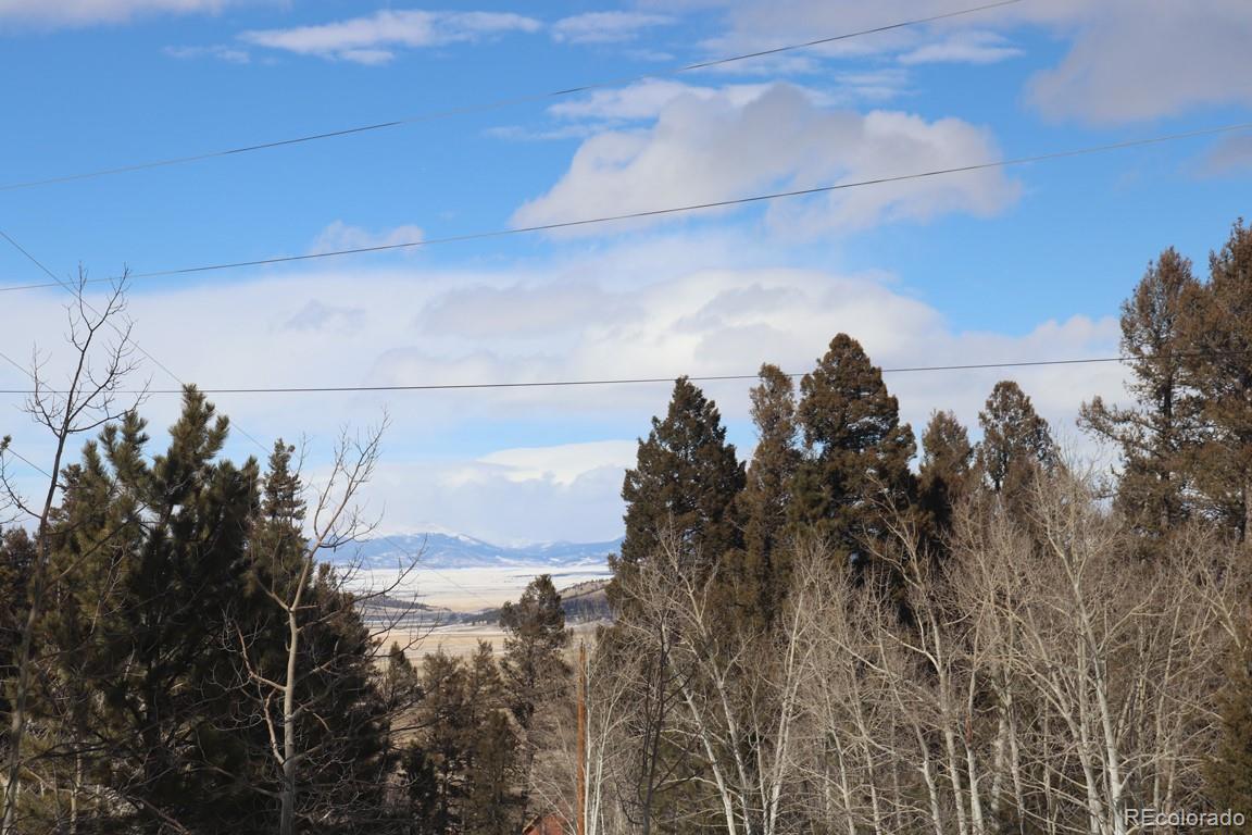 2120 Bellows Road Hartsel, CO 80449 - Photo 3 of 17 a view of a city