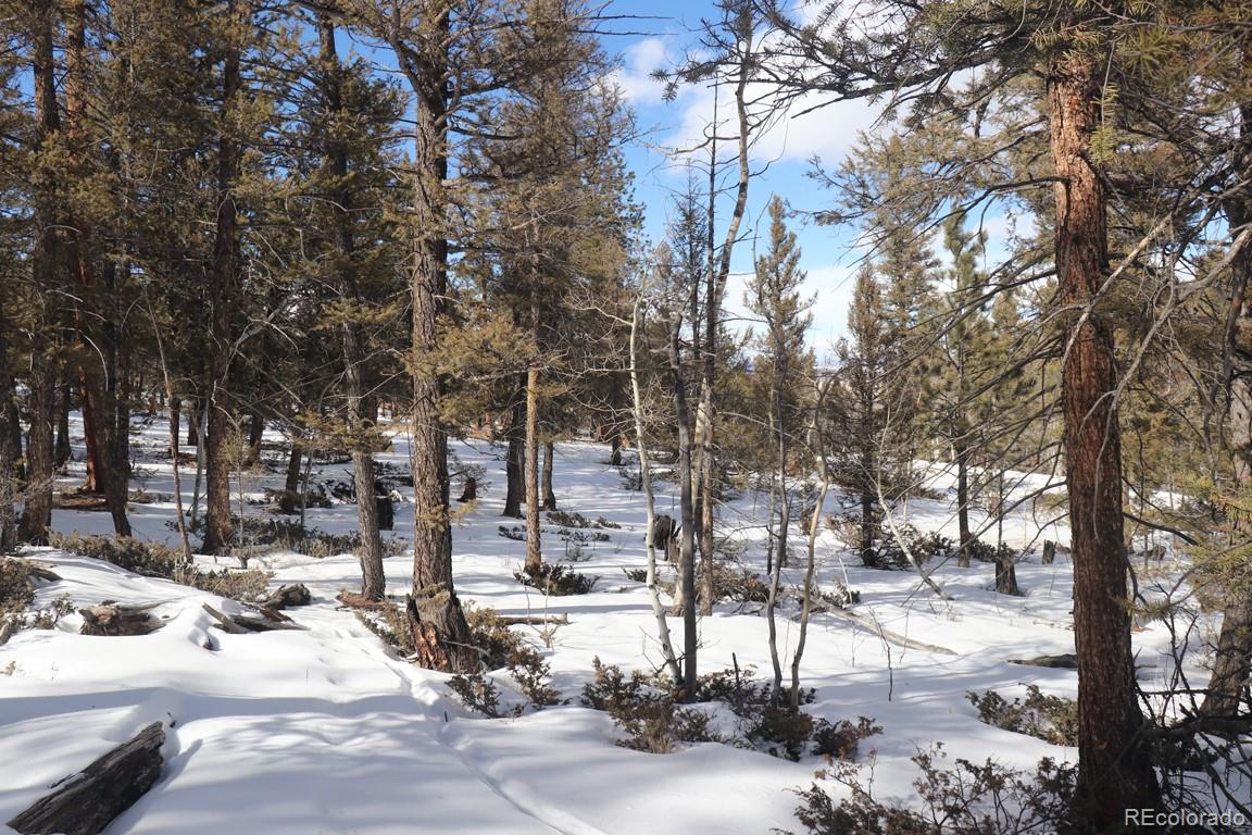 2120 Bellows Road Hartsel, CO 80449 - Photo 4 of 17 a view of city view