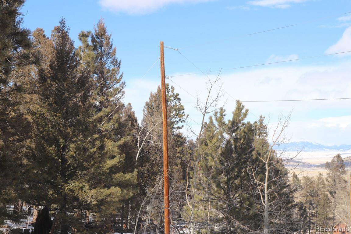 2120 Bellows Road Hartsel, CO 80449 - Photo 5 of 17 a view of a city with lush green forest