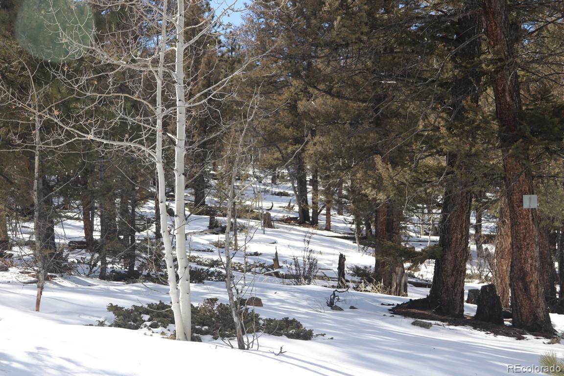 2120 Bellows Road Hartsel, CO 80449 - Photo 6 of 17 a tall building with trees in front of it