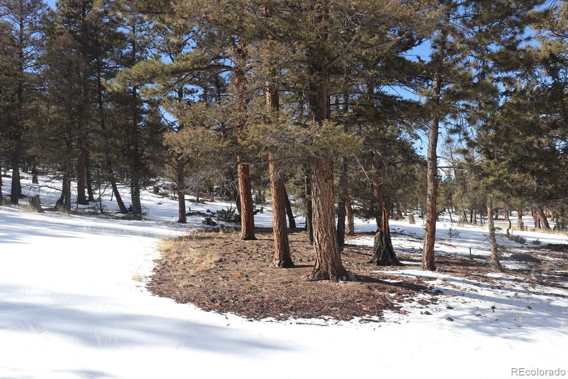 2120 Bellows Road Hartsel, CO 80449 - Photo 7 of 17 a view of road with trees