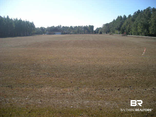 0 Cowling Road Robertsdale, AL 36567 - Photo 1 of 1