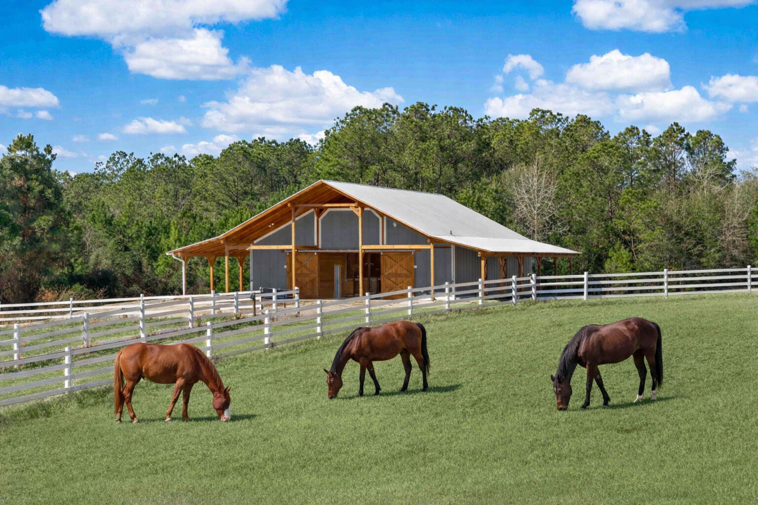 7356 Johnson Shortcut Road Conway, SC 29527 - Photo 4 of 77 Barn Lifestyle-1