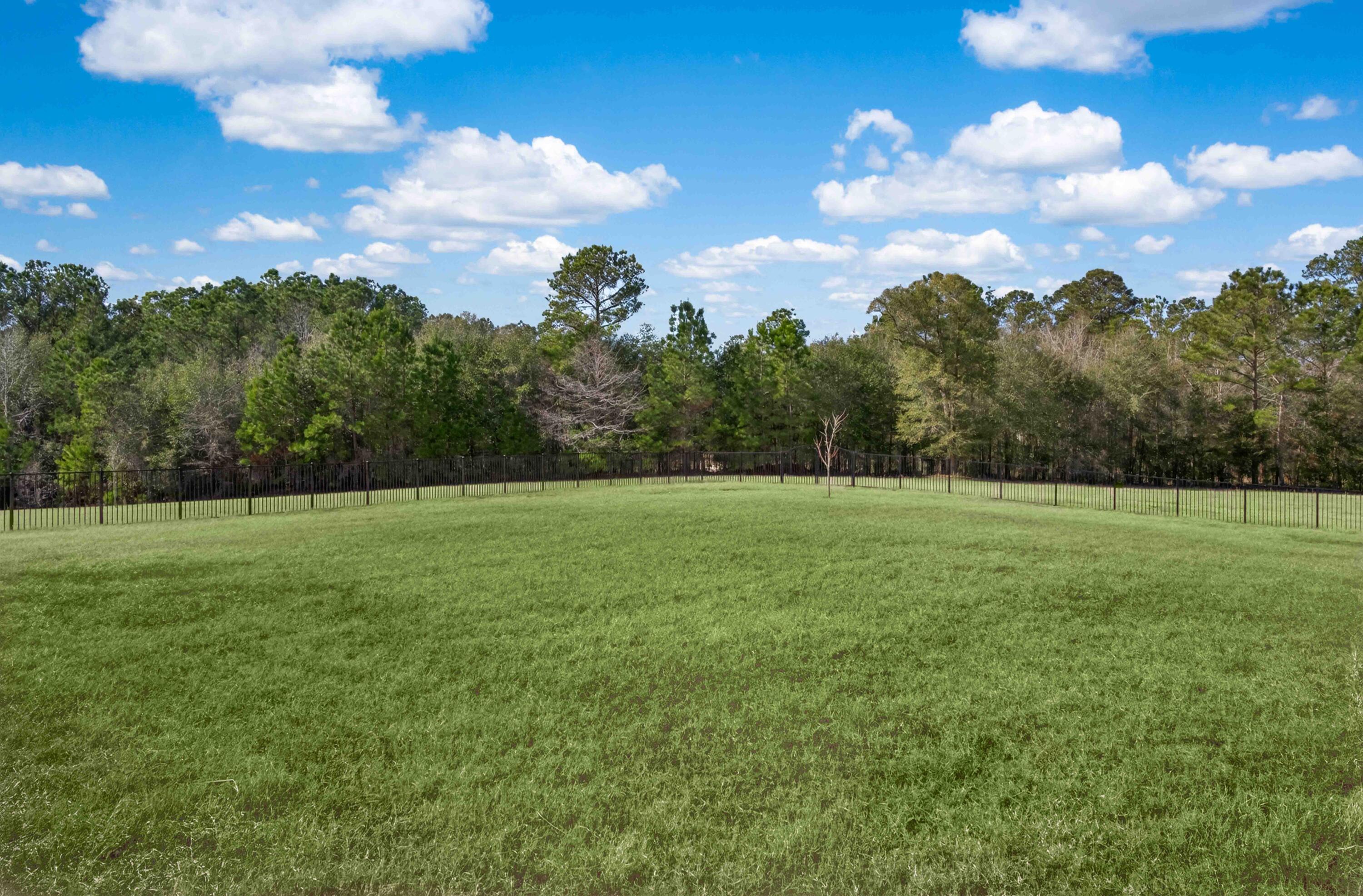 7356 Johnson Shortcut Road Conway, SC 29527 - Photo 49 of 77 Exterior-6