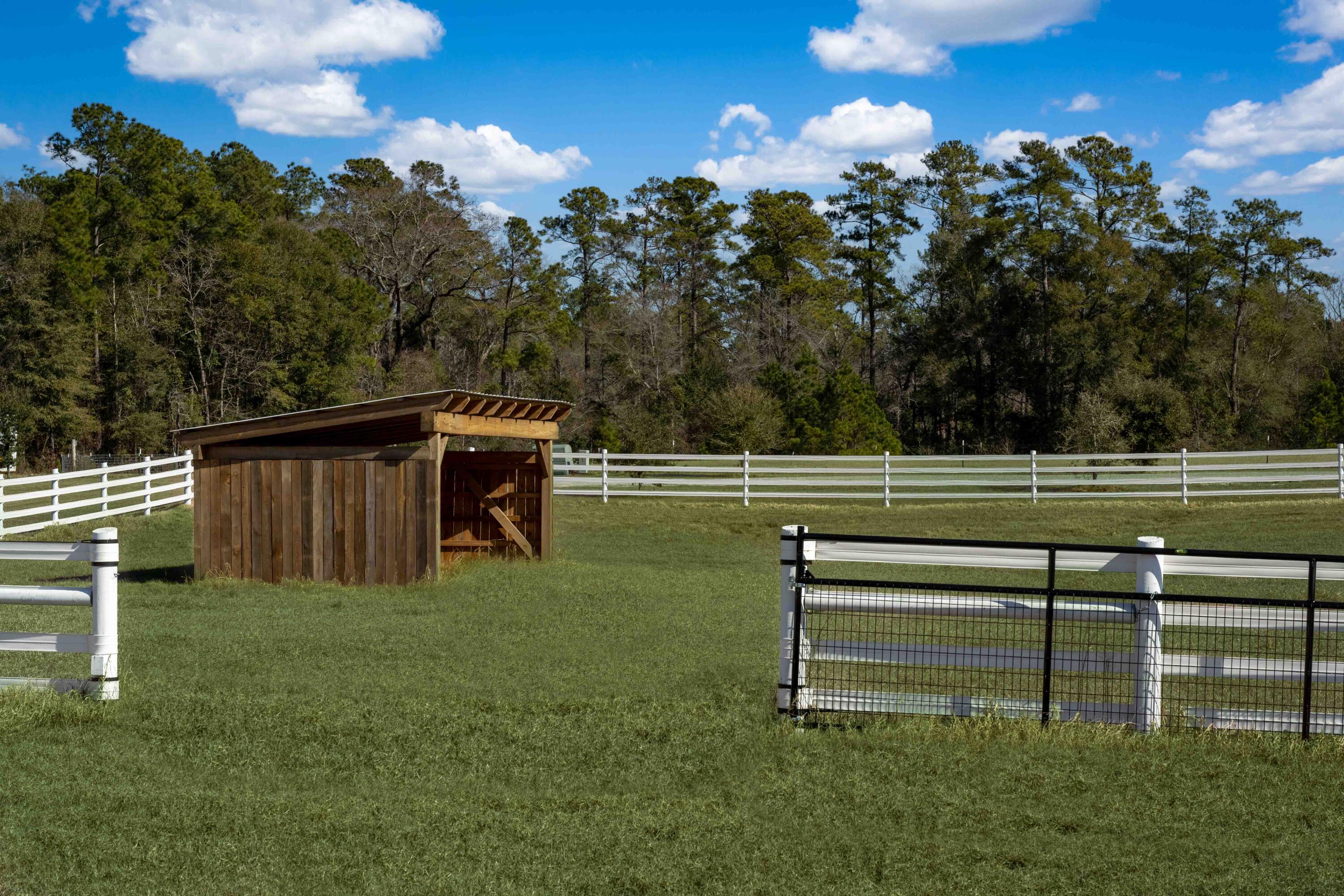 7356 Johnson Shortcut Road Conway, SC 29527 - Photo 69 of 77 Exterior-13