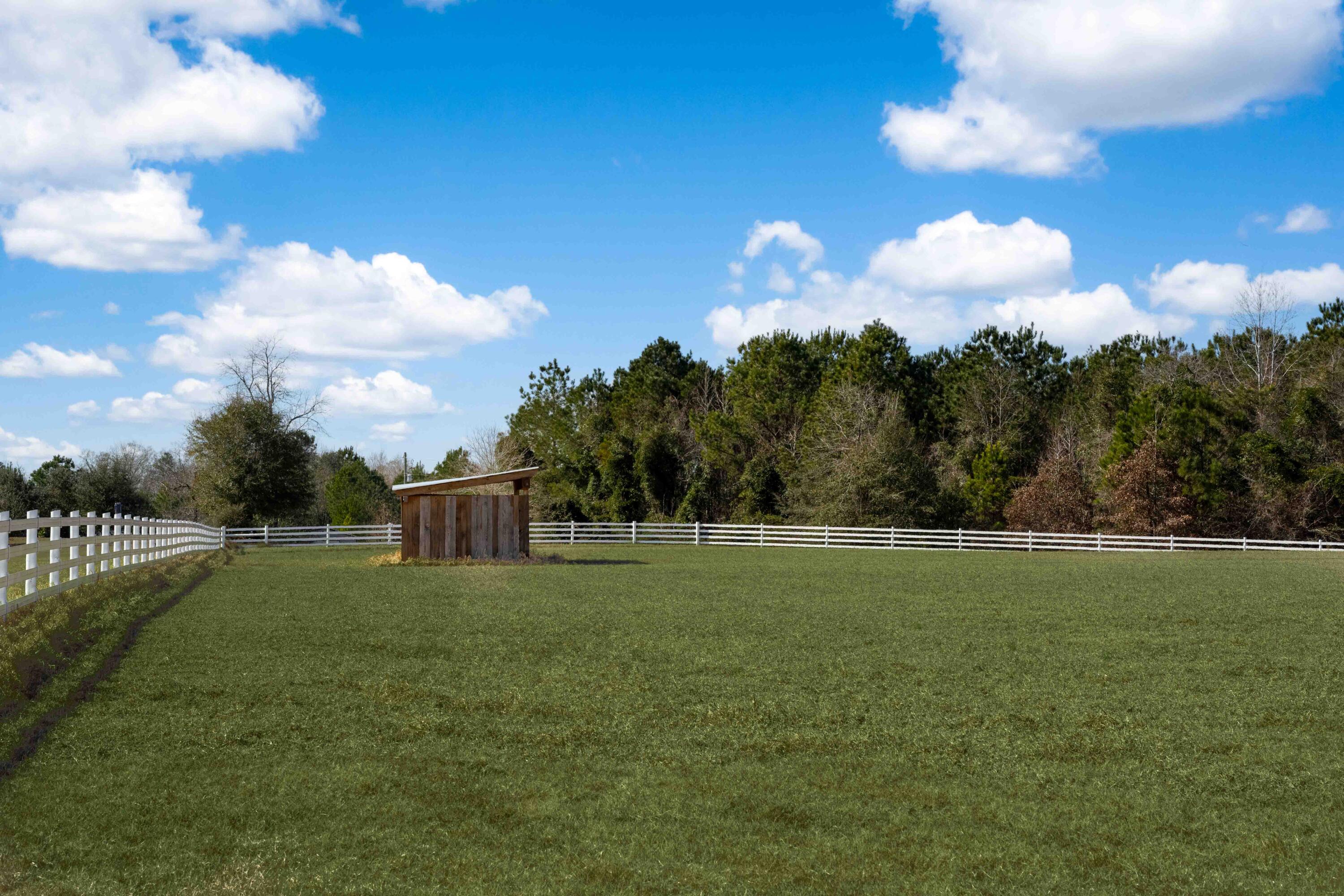 7356 Johnson Shortcut Road Conway, SC 29527 - Photo 71 of 77 Exterior-16