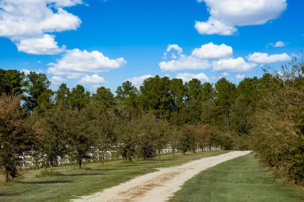 $1,295,000 | 7356 Johnson Shortcut Road, Conway, SC 29527