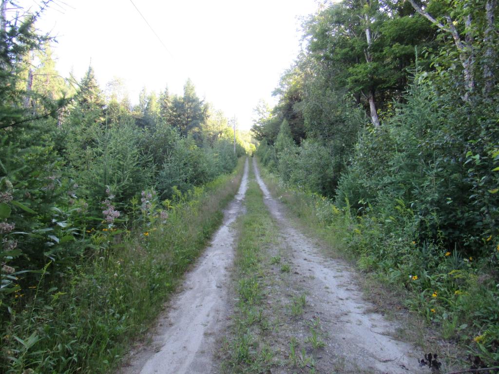 7200 Willoughby Ridge Road Sutton, VT 05867 - Photo 1 of 10 Gallery Image 1