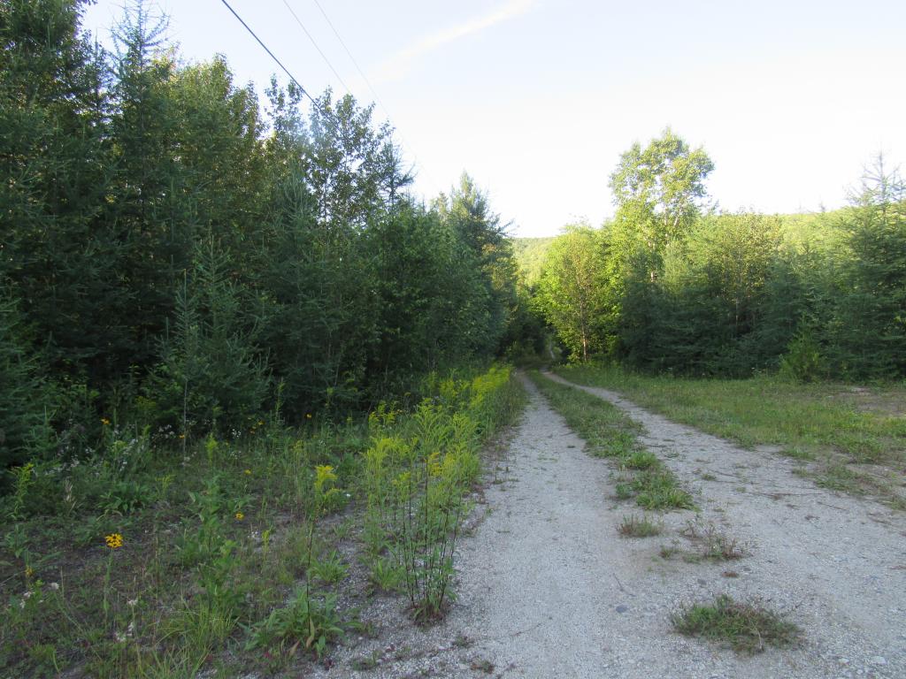 7200 Willoughby Ridge Road Sutton, VT 05867 - Photo 3 of 10 Gallery Image 3