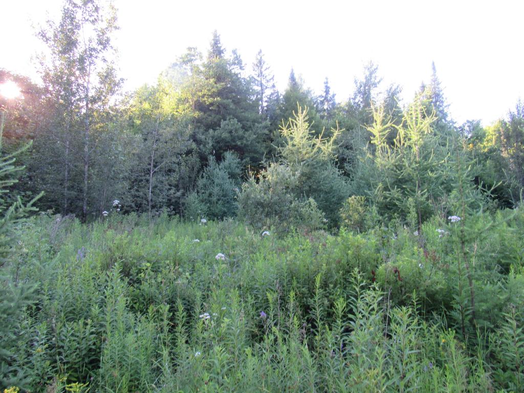 7200 Willoughby Ridge Road Sutton, VT 05867 - Photo 4 of 10 Gallery Image 4