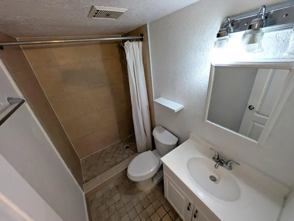 a bathroom with a sink a toilet a mirror and shower