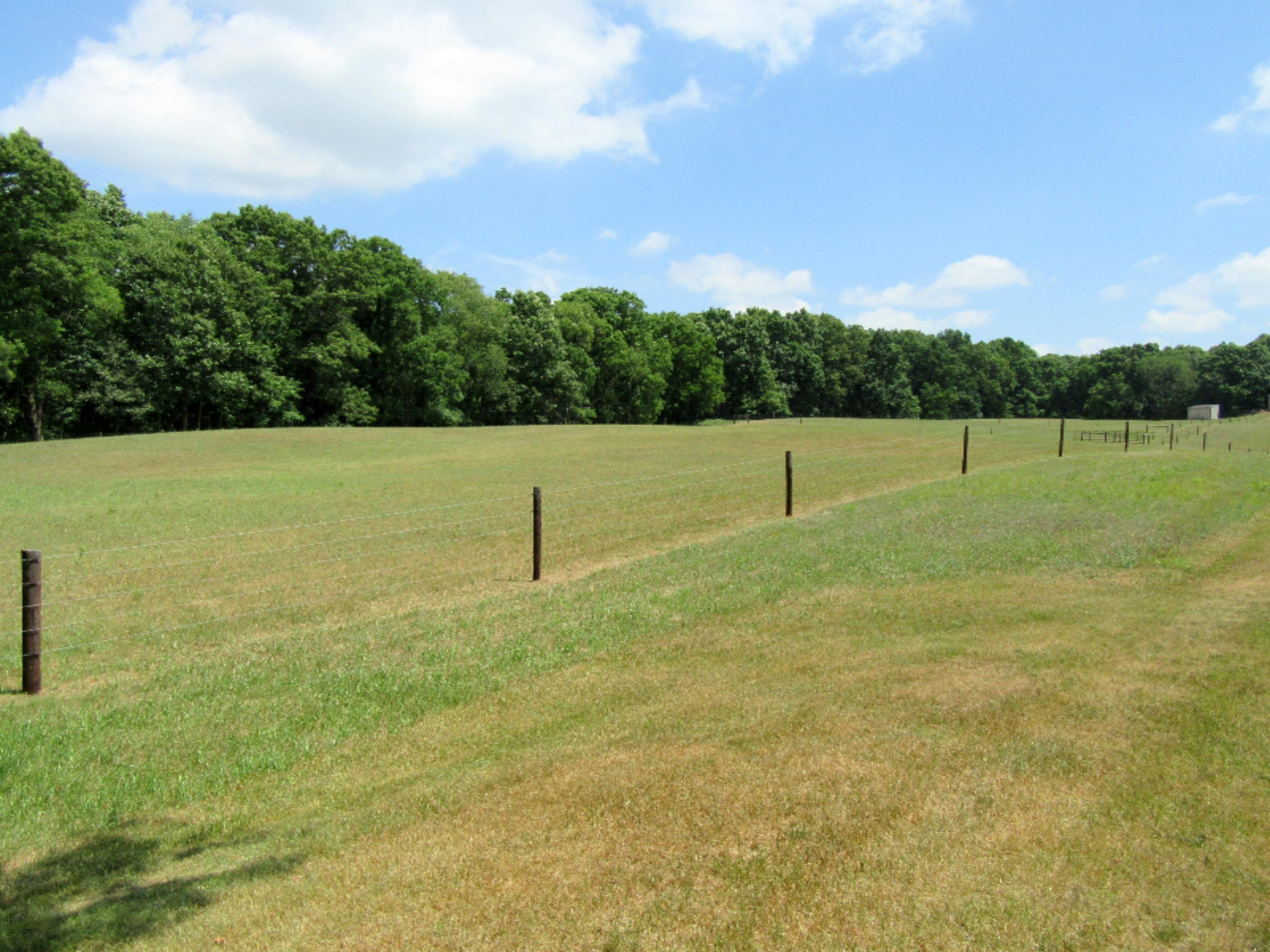 21730 West County Line Road Augusta, MI 49012 - Photo 26 of 36 Back1