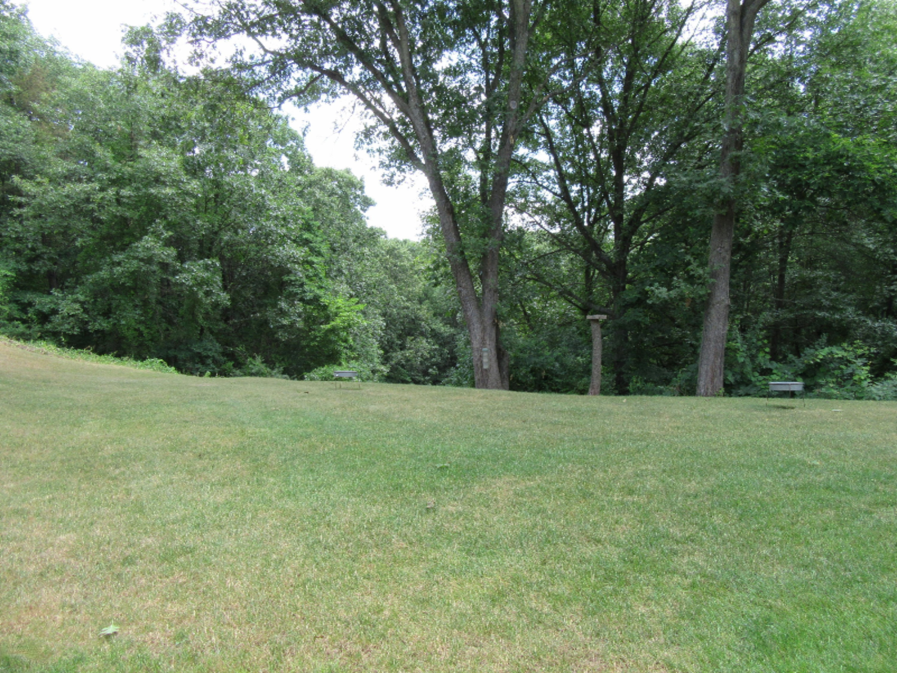 21730 West County Line Road Augusta, MI 49012 - Photo 30 of 36 Out2
