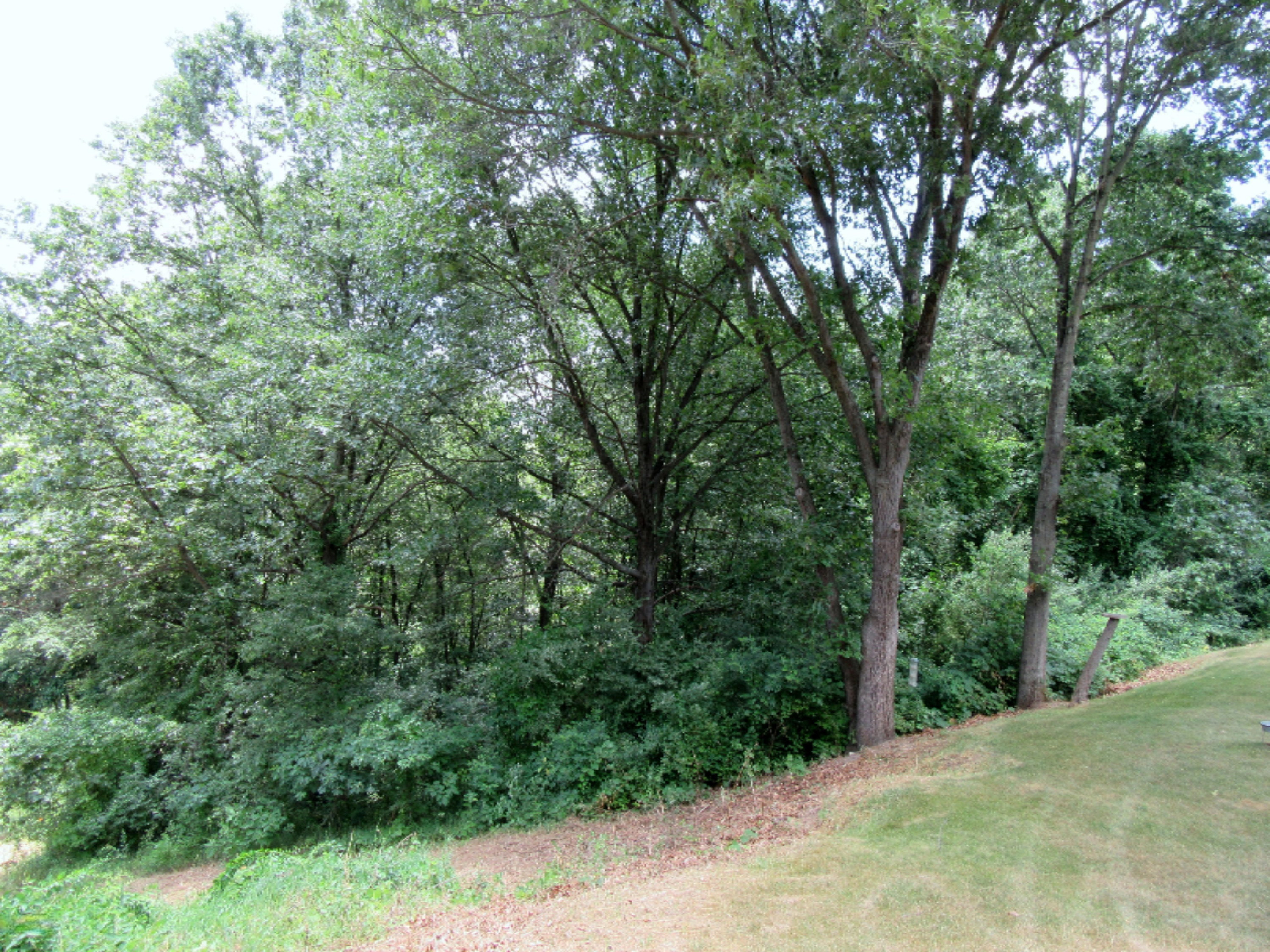 21730 West County Line Road Augusta, MI 49012 - Photo 33 of 36 Out6