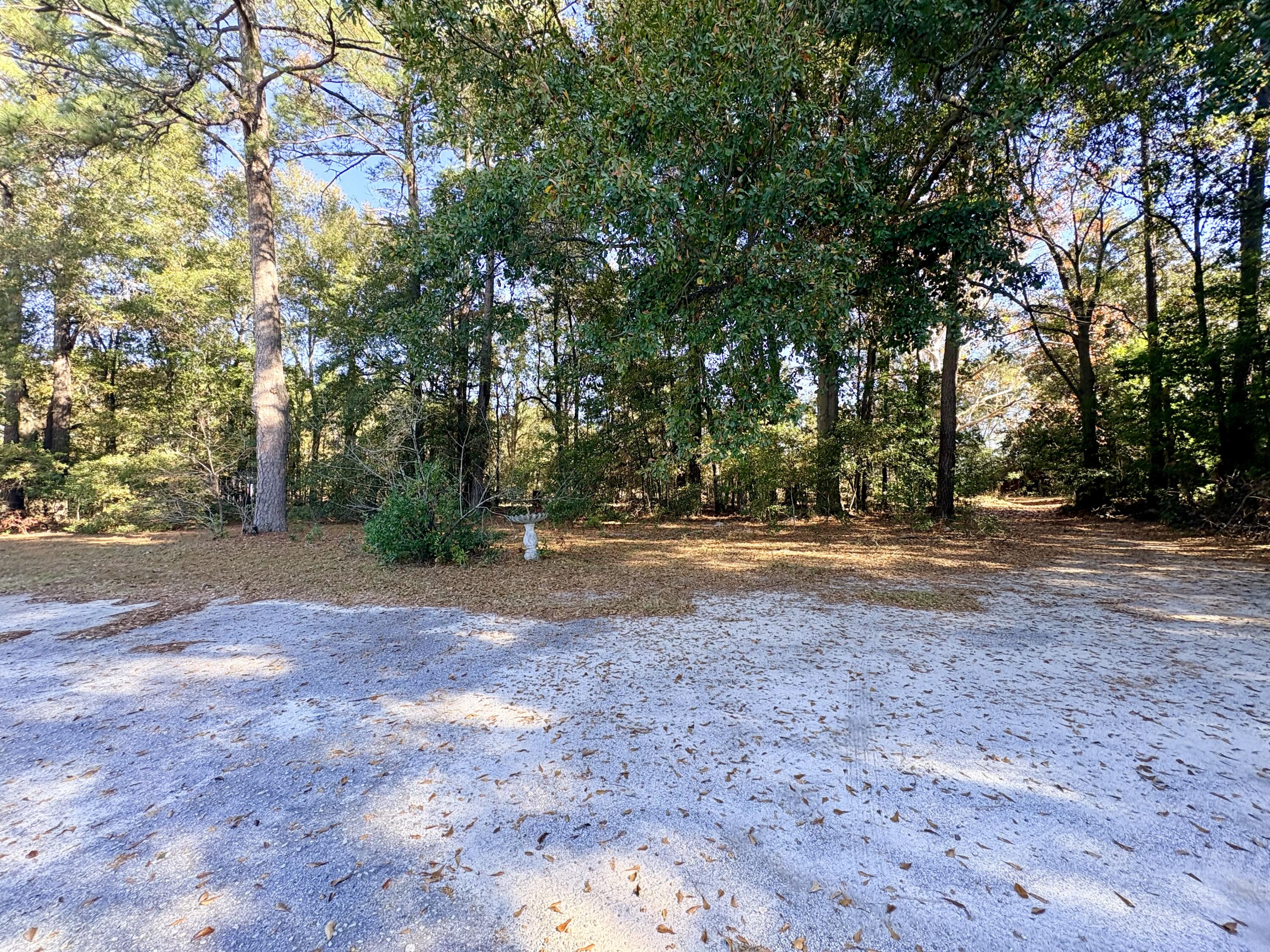 1409 Fairview Road Pelion, SC 29123 - Photo 41 of 52