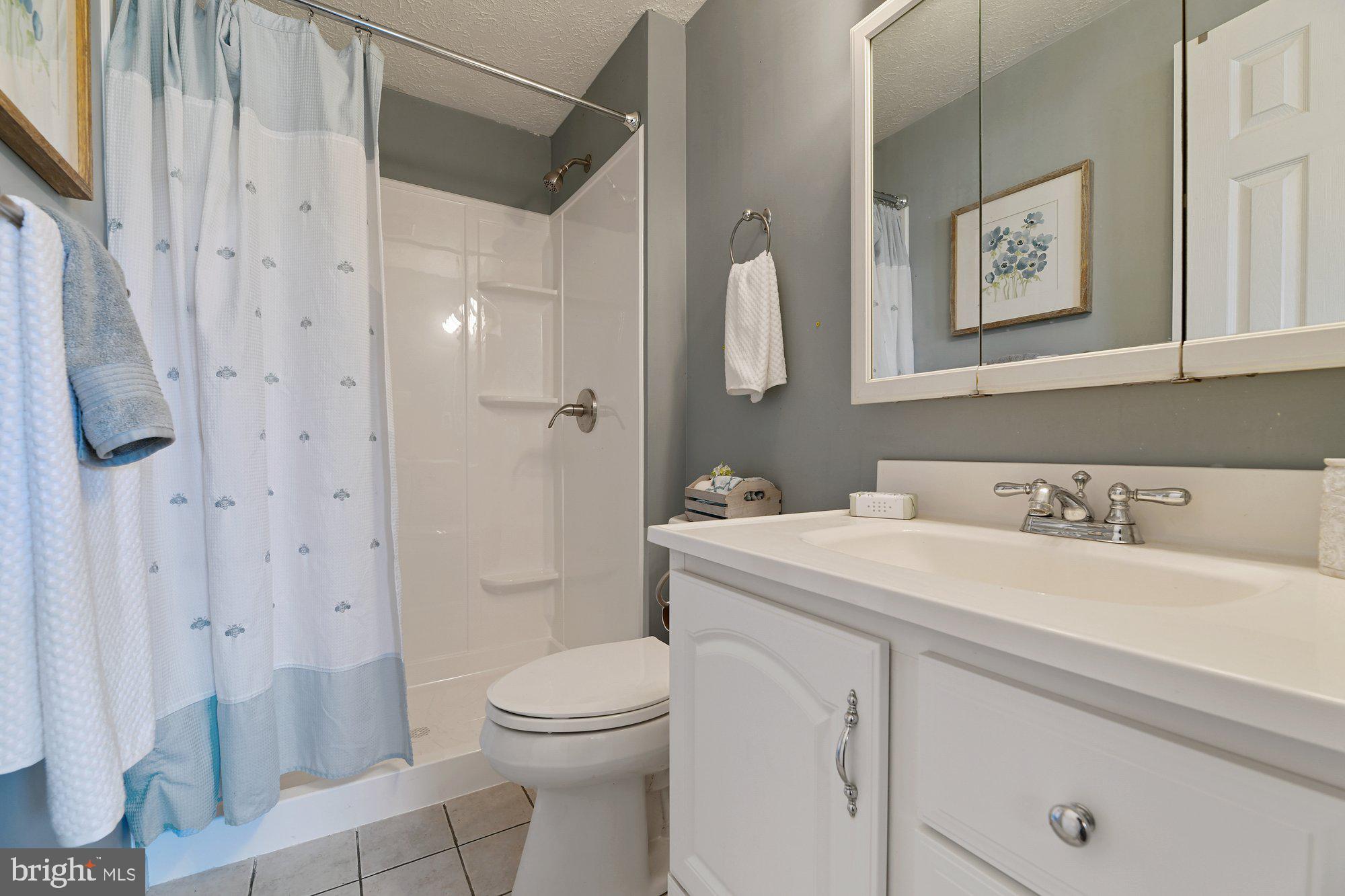 21 Hyacinth Road Baltimore, MD 21234 - Photo 20 of 41 Primary Bath