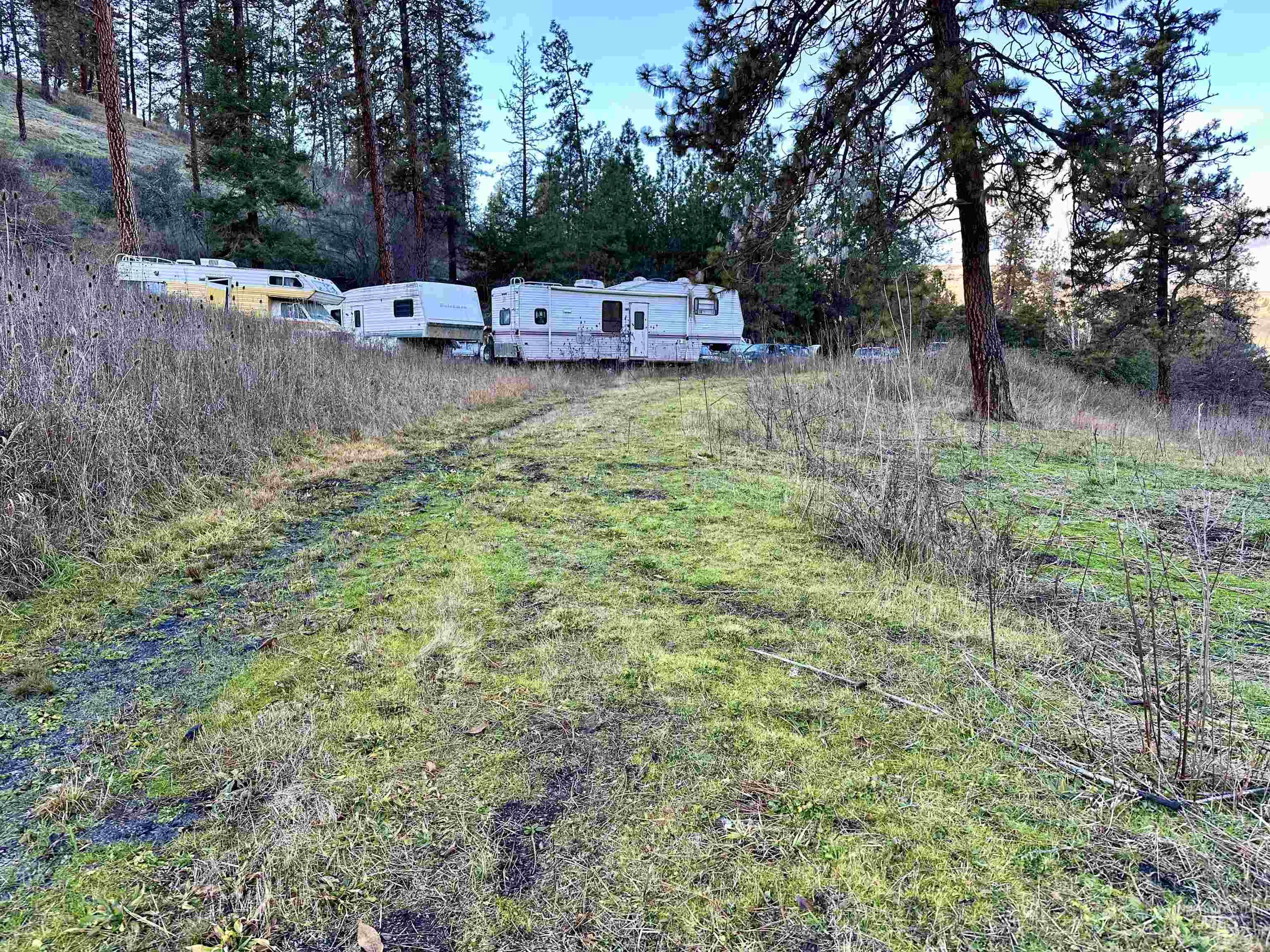 2685 Luke's Gulch Road Stites, ID 83552 - Photo 16 of 28