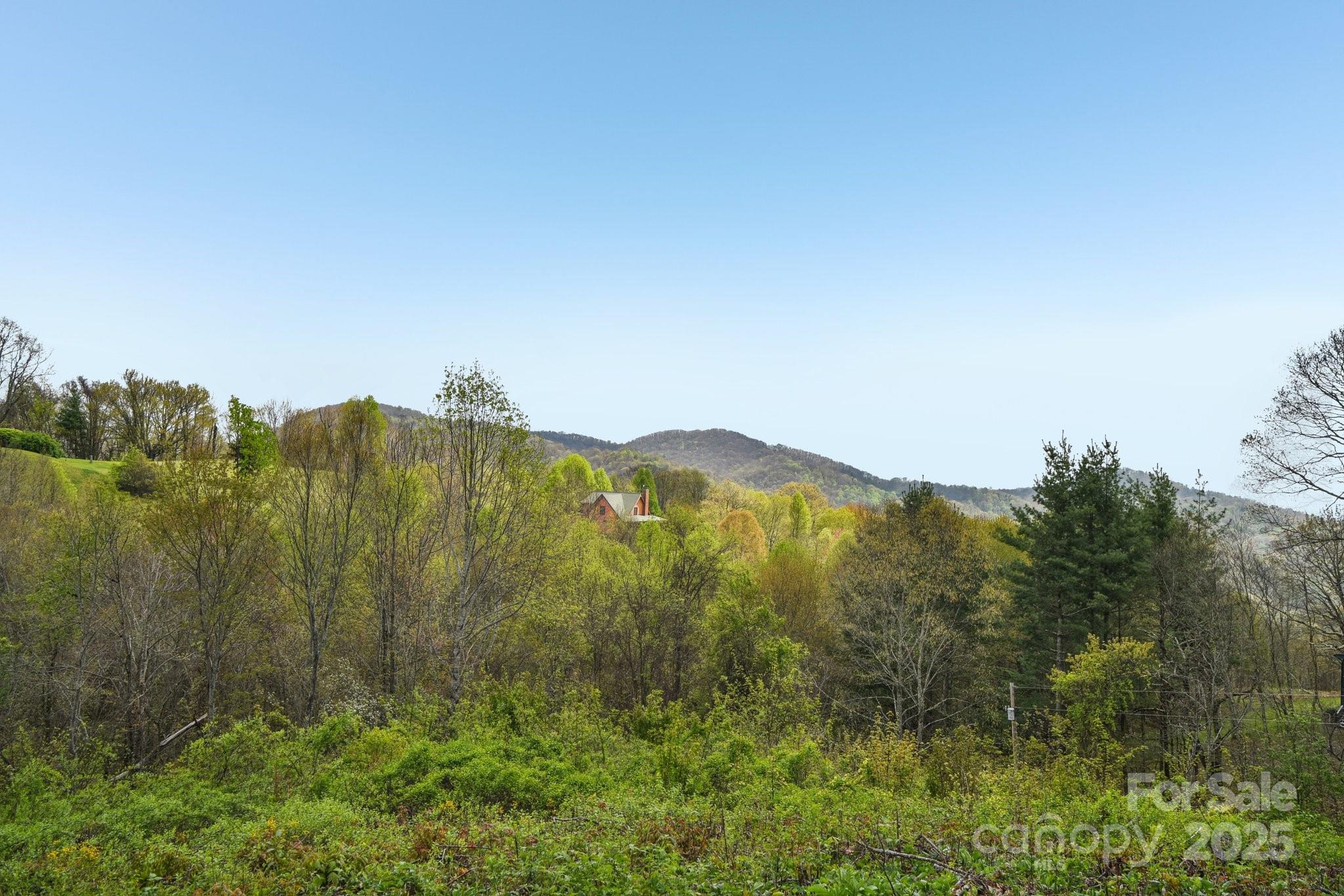 531 Pioneer Ridge Road Canton, NC 28716 - Photo 31 of 39