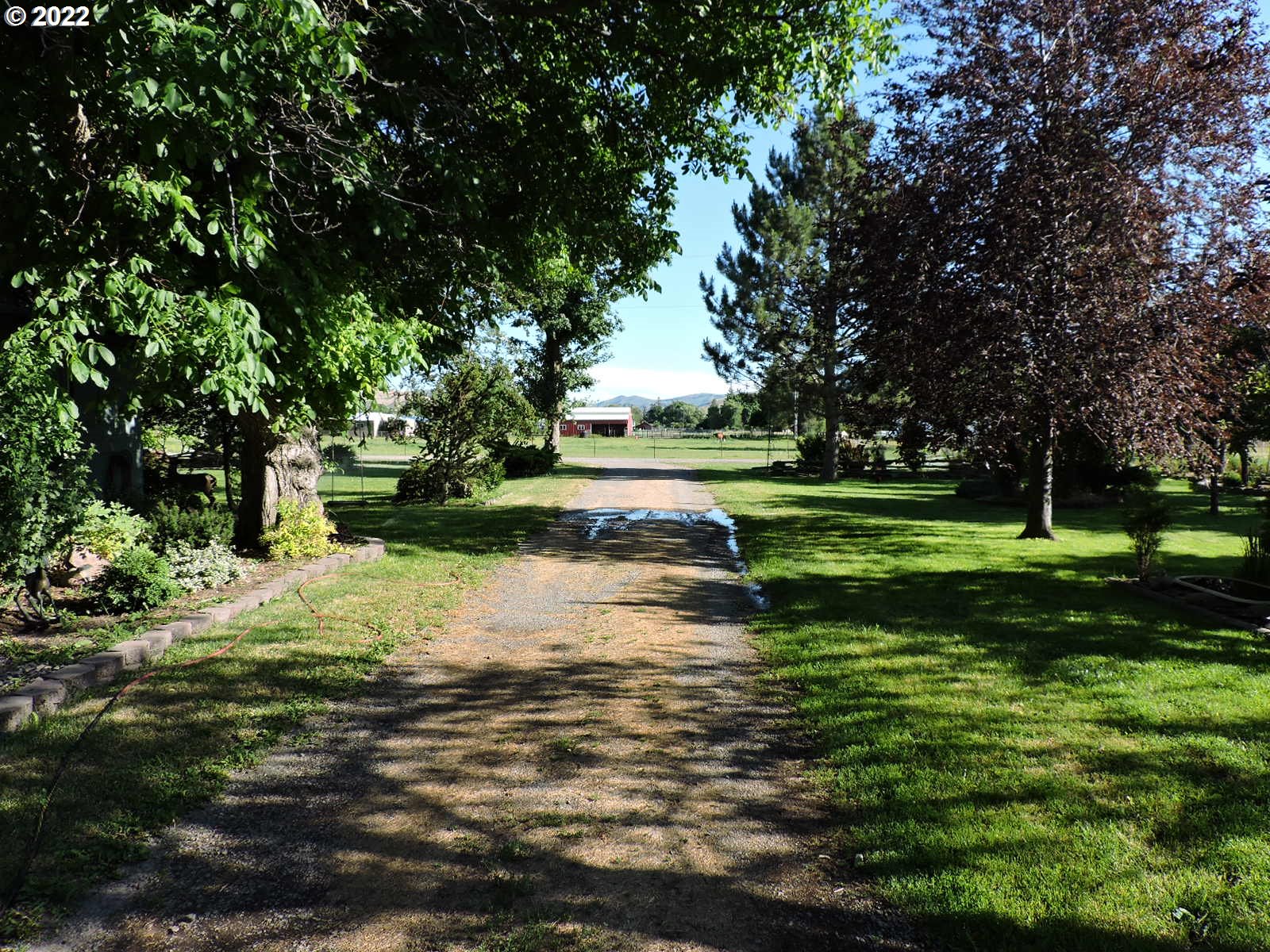 57900 Weaver Road Union, OR 97883 - Photo 26 of 31 Driveway