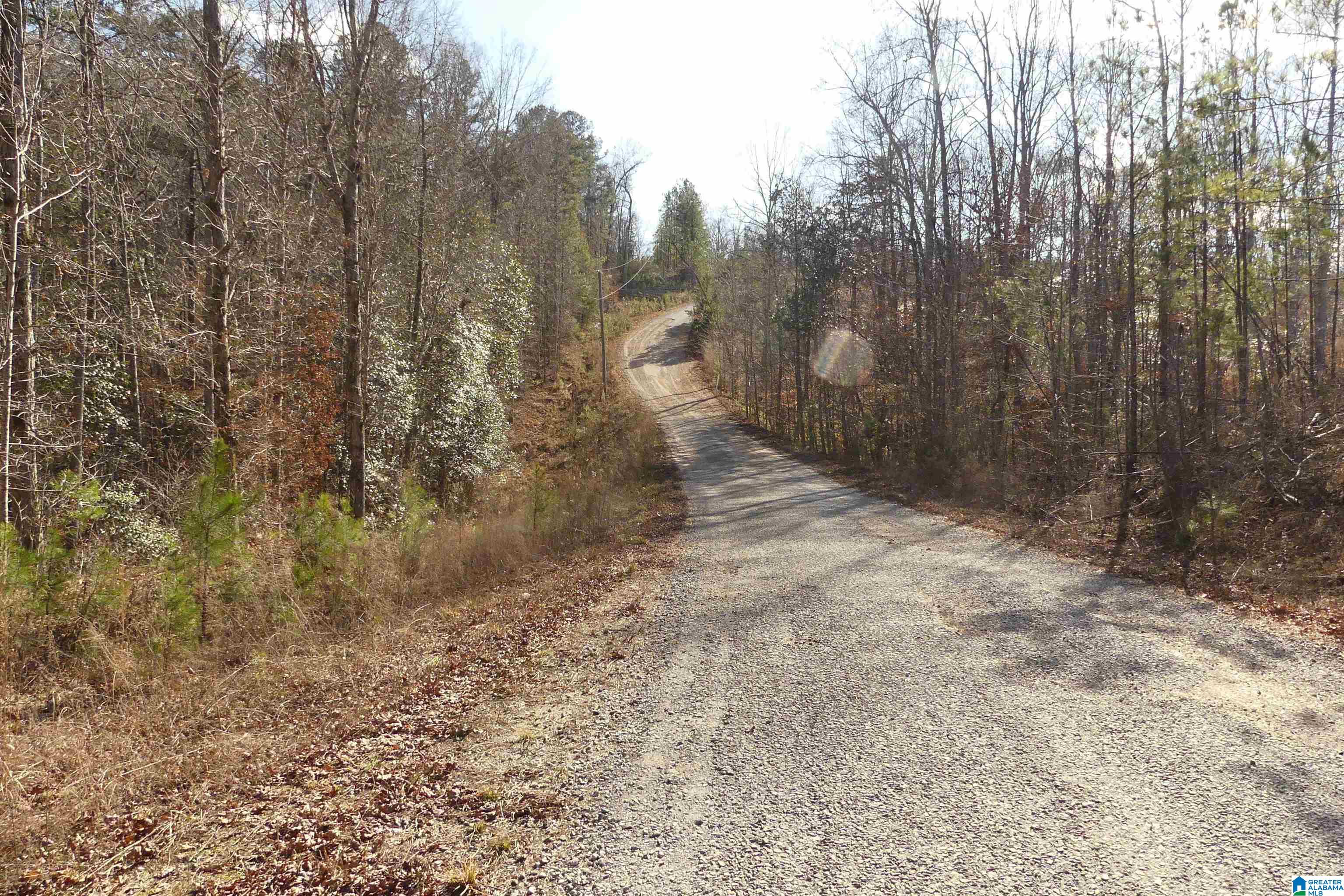 Lot # Harbour Point Drive, Unit 9 Delta, AL 36258 - Photo 8 of 8