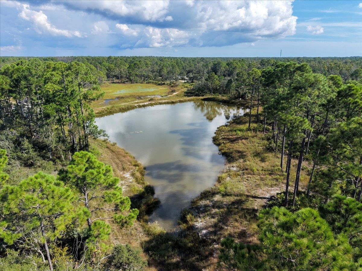 Xx Xx Oak Hill Road Perry, FL 32348 - Photo 23 of 31 Gallery Image 23
