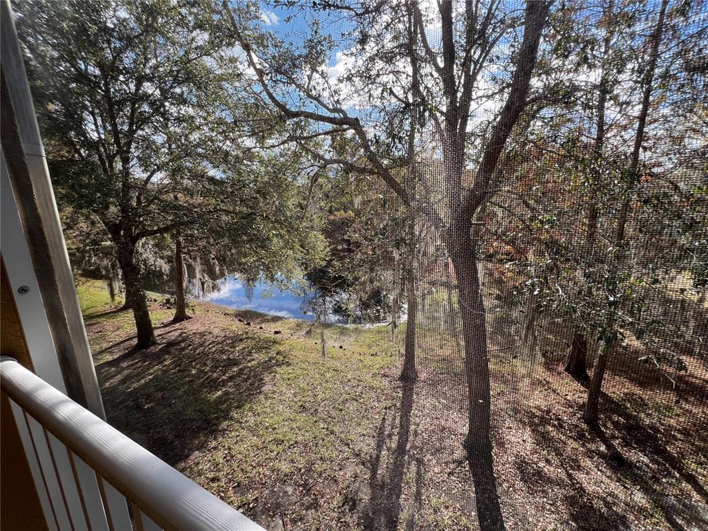 7350 Black Walnut Way Lakewood Ranch, FL 34202 - Photo 29 of 52 a view of a forest filled with trees