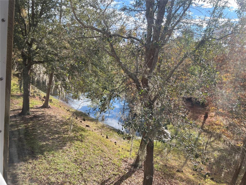 7350 Black Walnut Way Lakewood Ranch, FL 34202 - Photo 50 of 52 a view of a yard with large trees