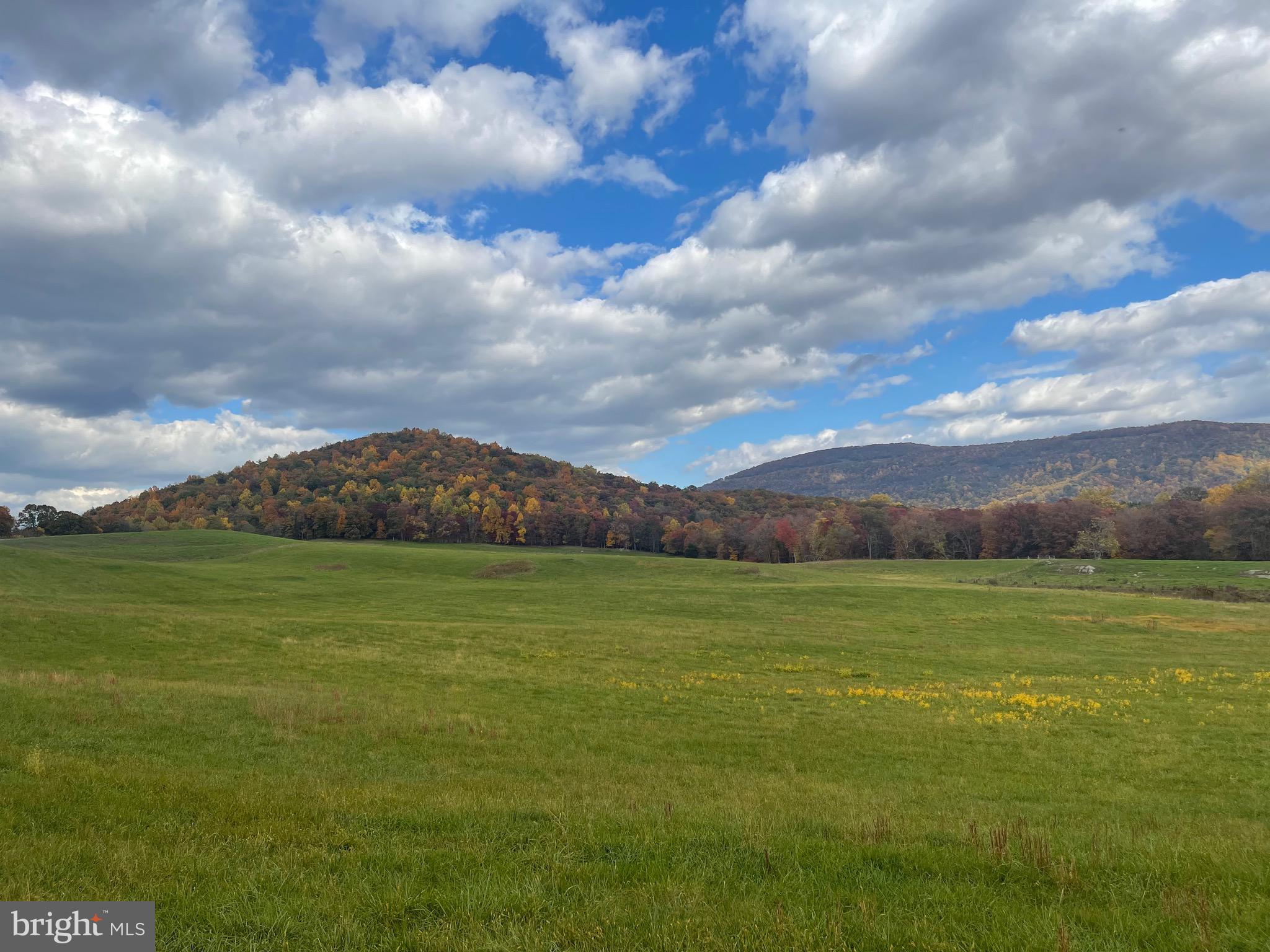 Buck Mountain Road Bentonville, VA 22610 - Photo 19 of 32