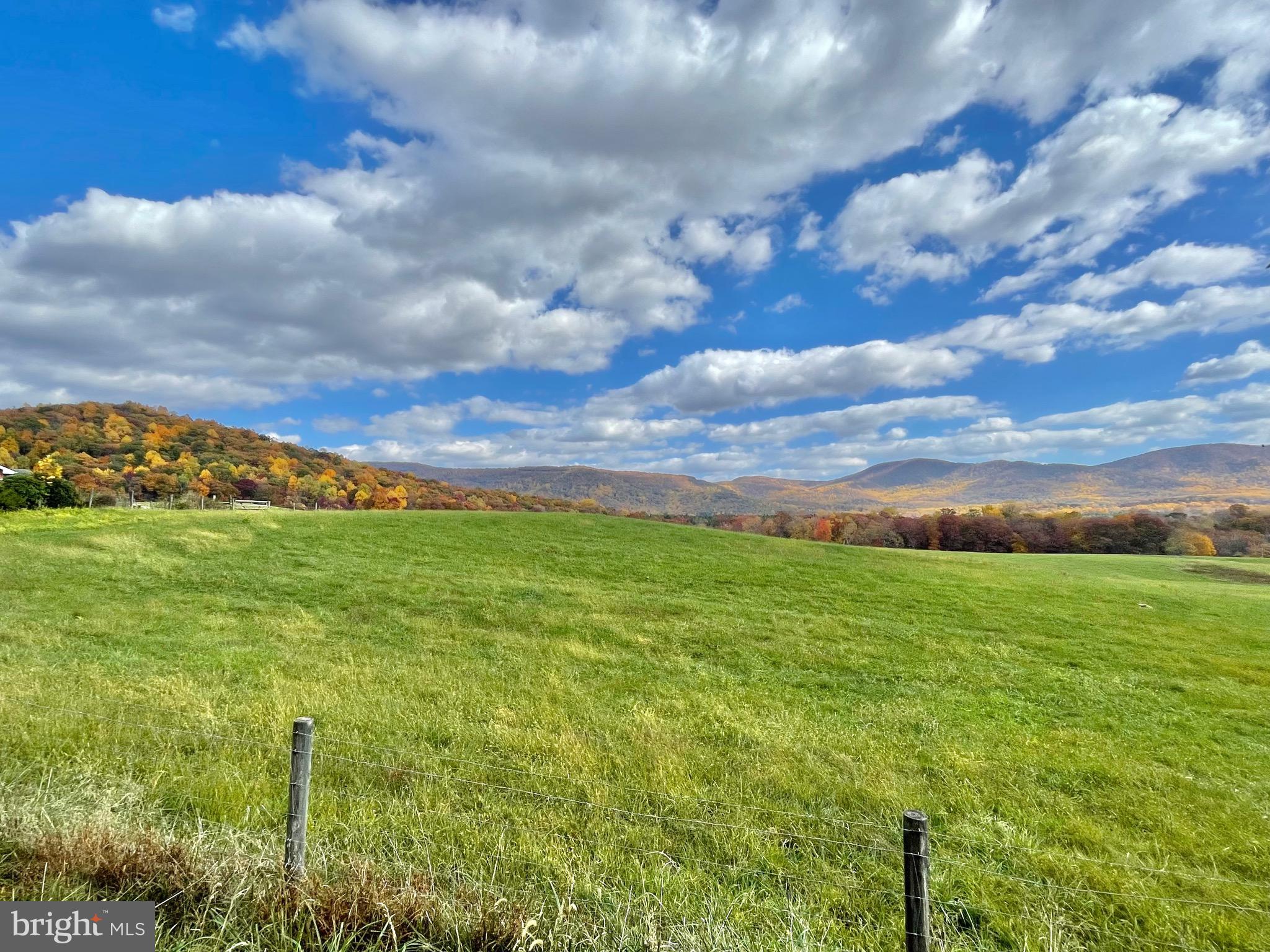 Buck Mountain Road Bentonville, VA 22610 - Photo 28 of 32 a view of a big yard with lots of green space