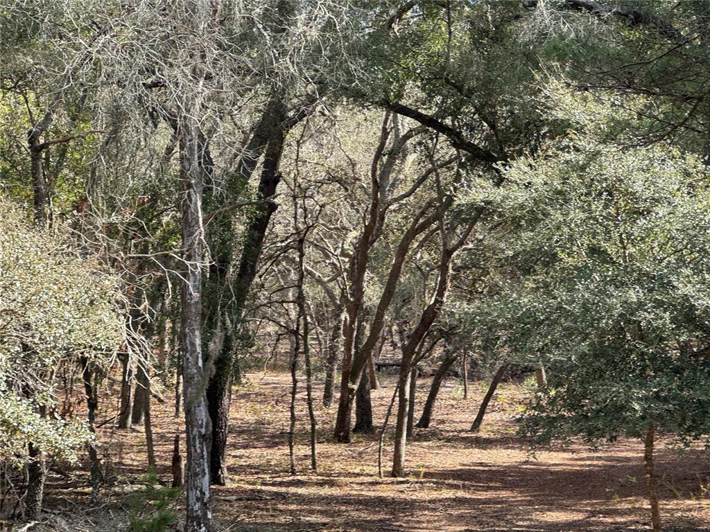 Southwest 70th Terrace Bushnell, FL 33513 - Photo 3 of 6